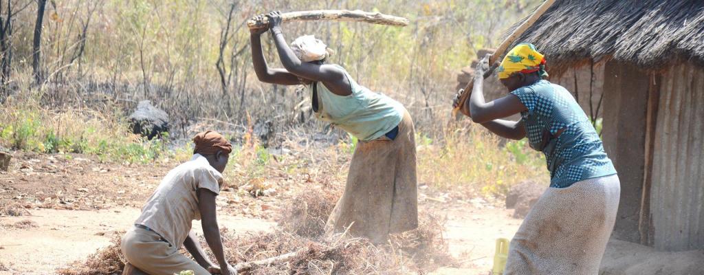 Women pounding Soghum